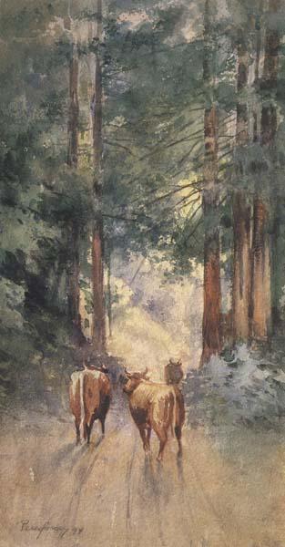 Percy Gray Cows in a Redwood Glade (mk42) oil painting image